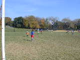 Click to see PA210103.JPG